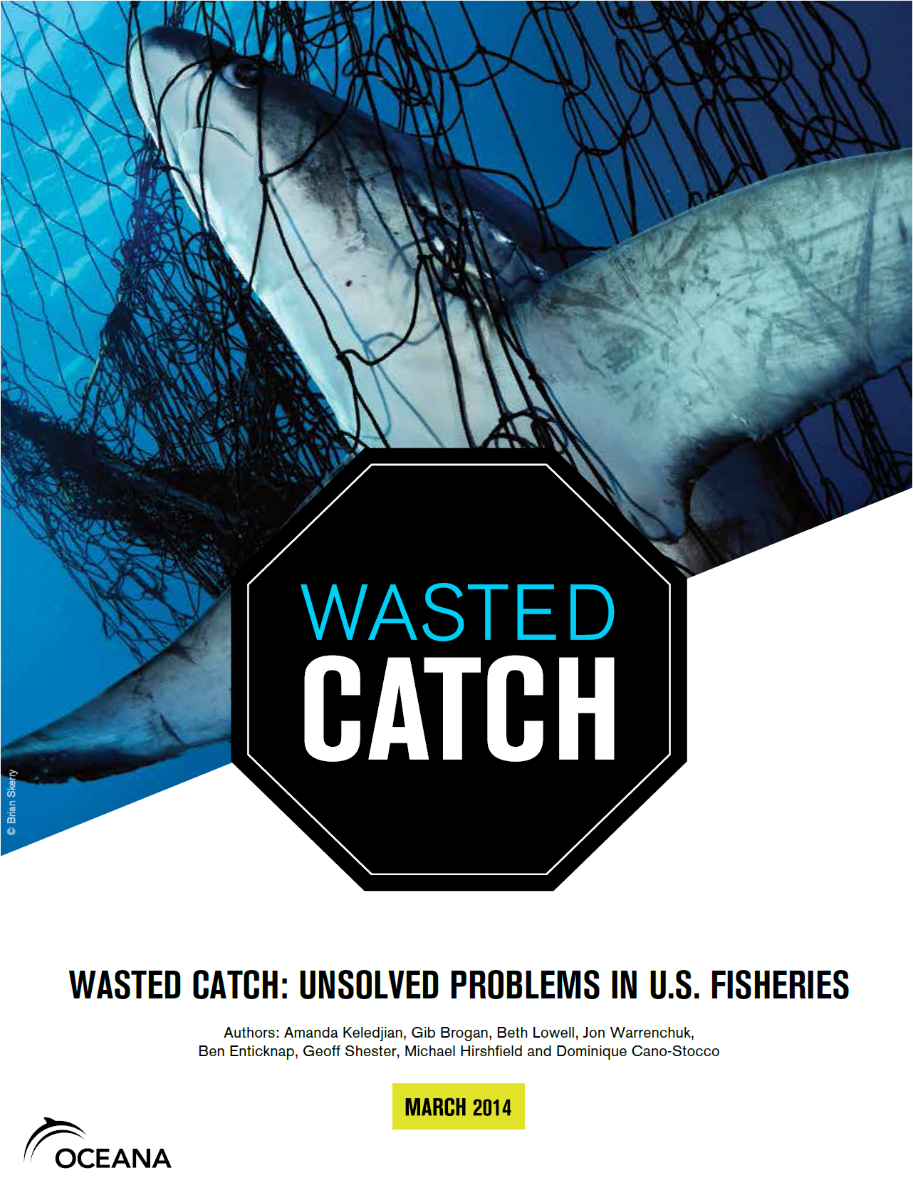 bycatch.png