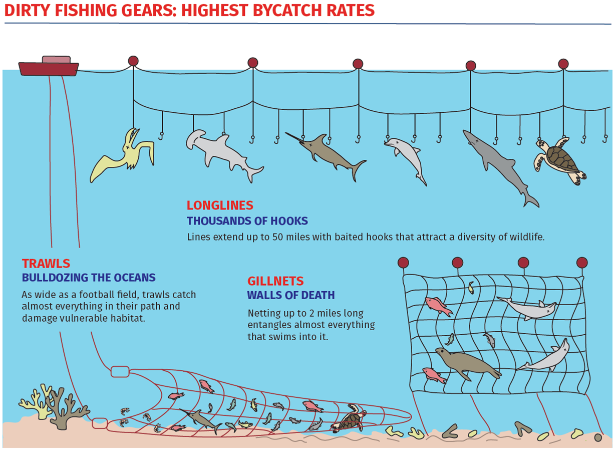 bycatch1.png