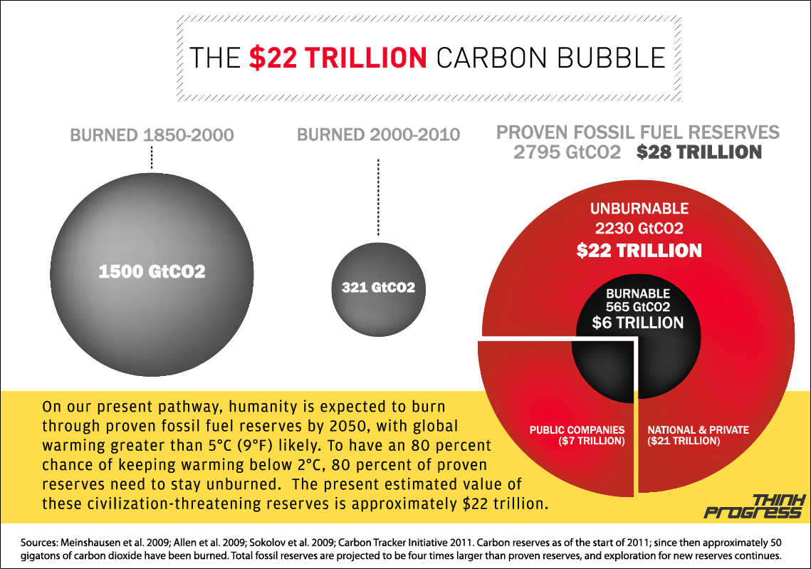 carbon_bubble_infographic_full.png