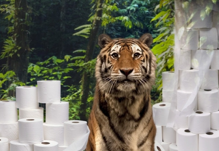 Tiger WWF.jpg