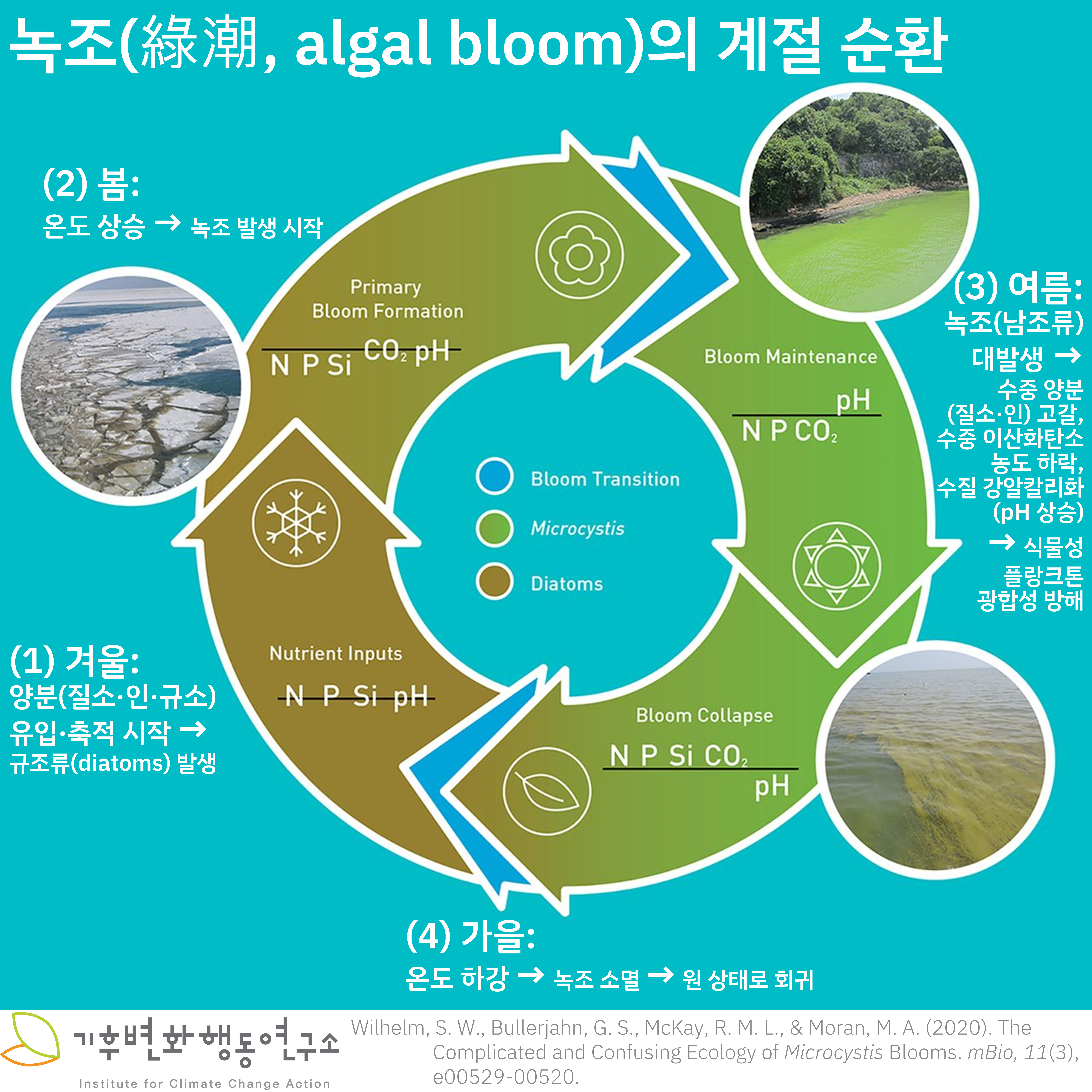 Algal-Bloom-1.png